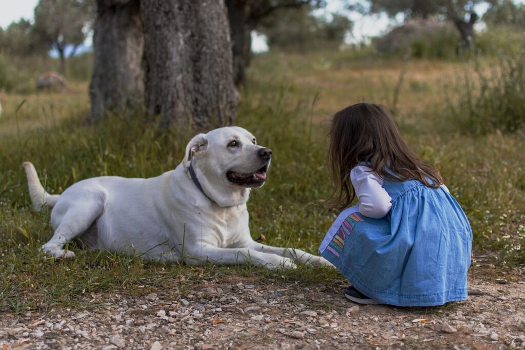 kid, dog, outdoors-5718703.jpg